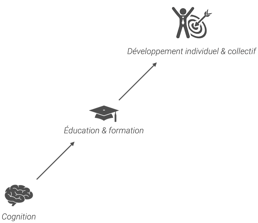 Constat formation De la cognition à la réussite